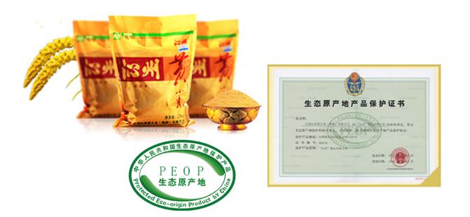 消防演練全員參與  企業安全人人有責