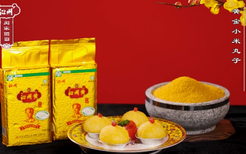 2021山西品牌沁州黃小米中華行走進深圳